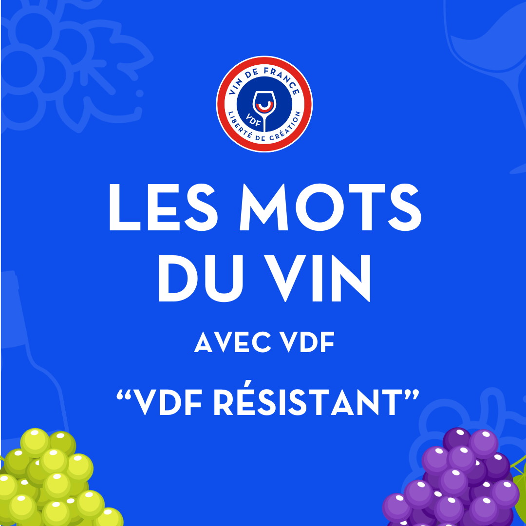 VDF - VDF Résistant