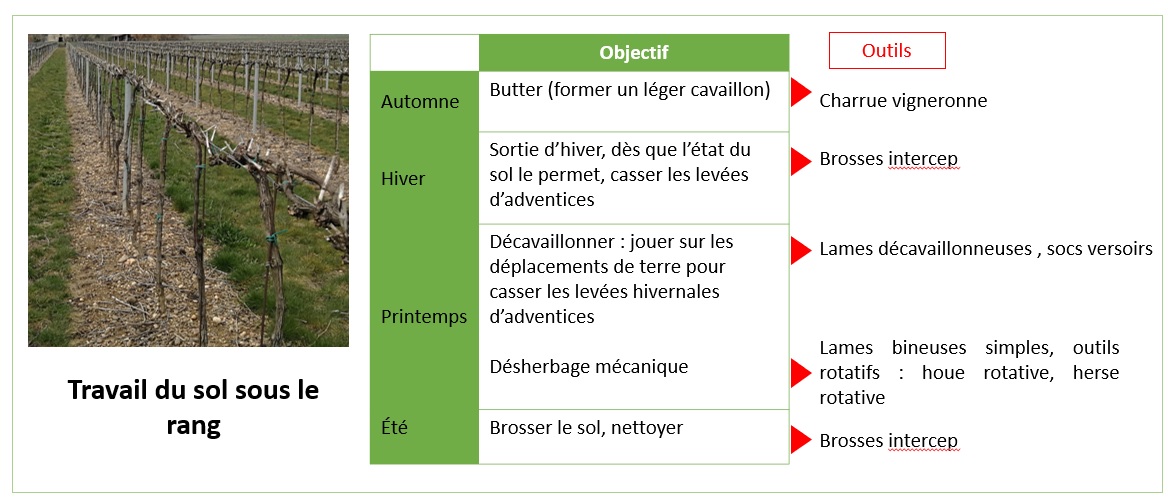 Travail du sol sous le rang