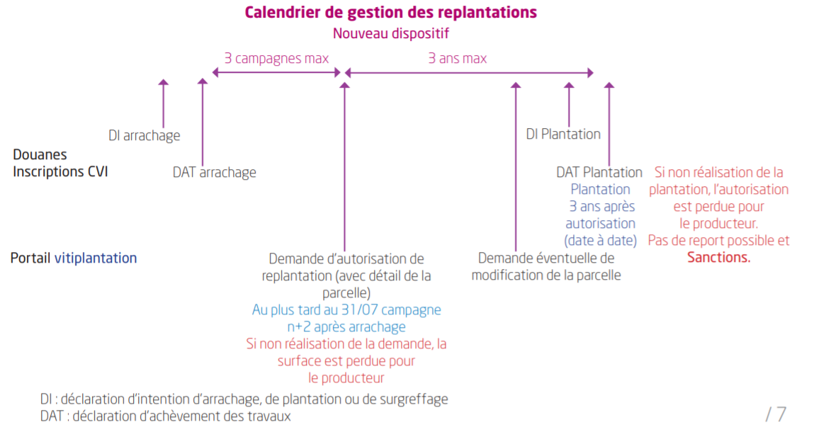 image-5-autorisation-et-droits-de-plantation