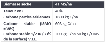 technique-v.i.e.-fiche-engrais-verts-calculs-theoriques-carbone-stocke-par-engrais-verts