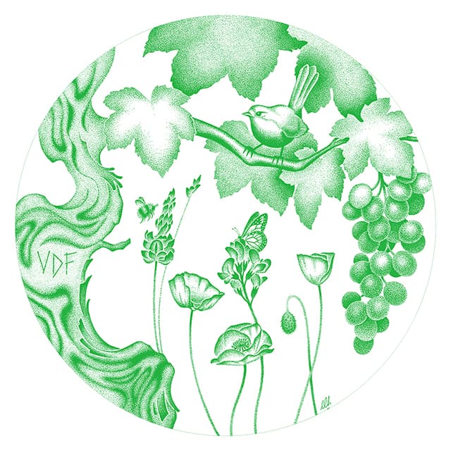 Laura Henderson - VDF - Biodiversité - Nature morte mais vivante