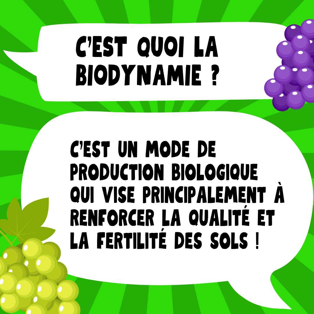 C'est quoi la biodynamie ?