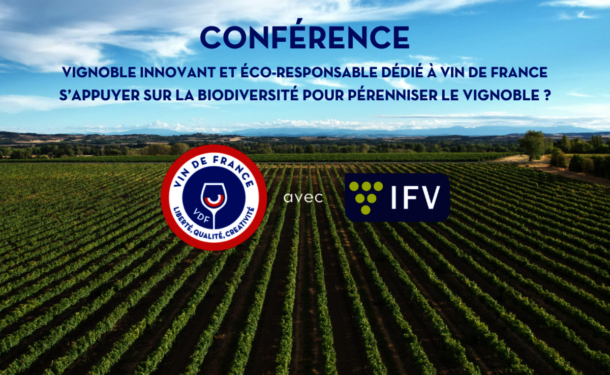 Rendez-vous au Sitevi pour la conférence incontournable sur les Vignobles Innovants et Éco-responsables - V.I.E. dédiés à Vin De France - VDF