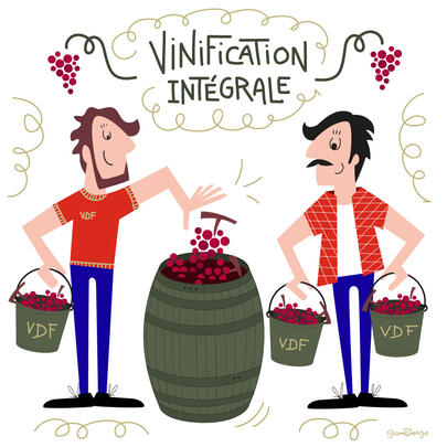 VDF Galerie - Vinification Intégrale - Gamberge