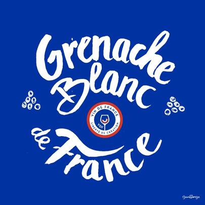 Grenache Blanc de France le cépage fruité