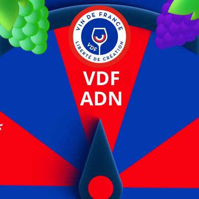 VDF - ADN