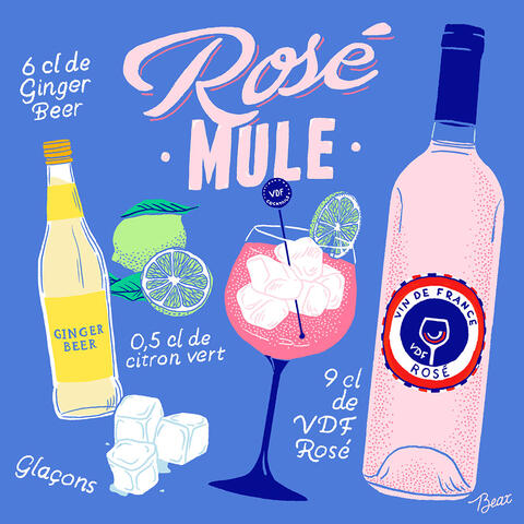 cocktail vin de france - rosé mule recette
