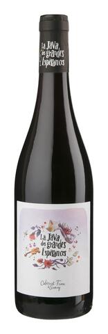 LA JAVA DES GRANDES ESPÉRANCES