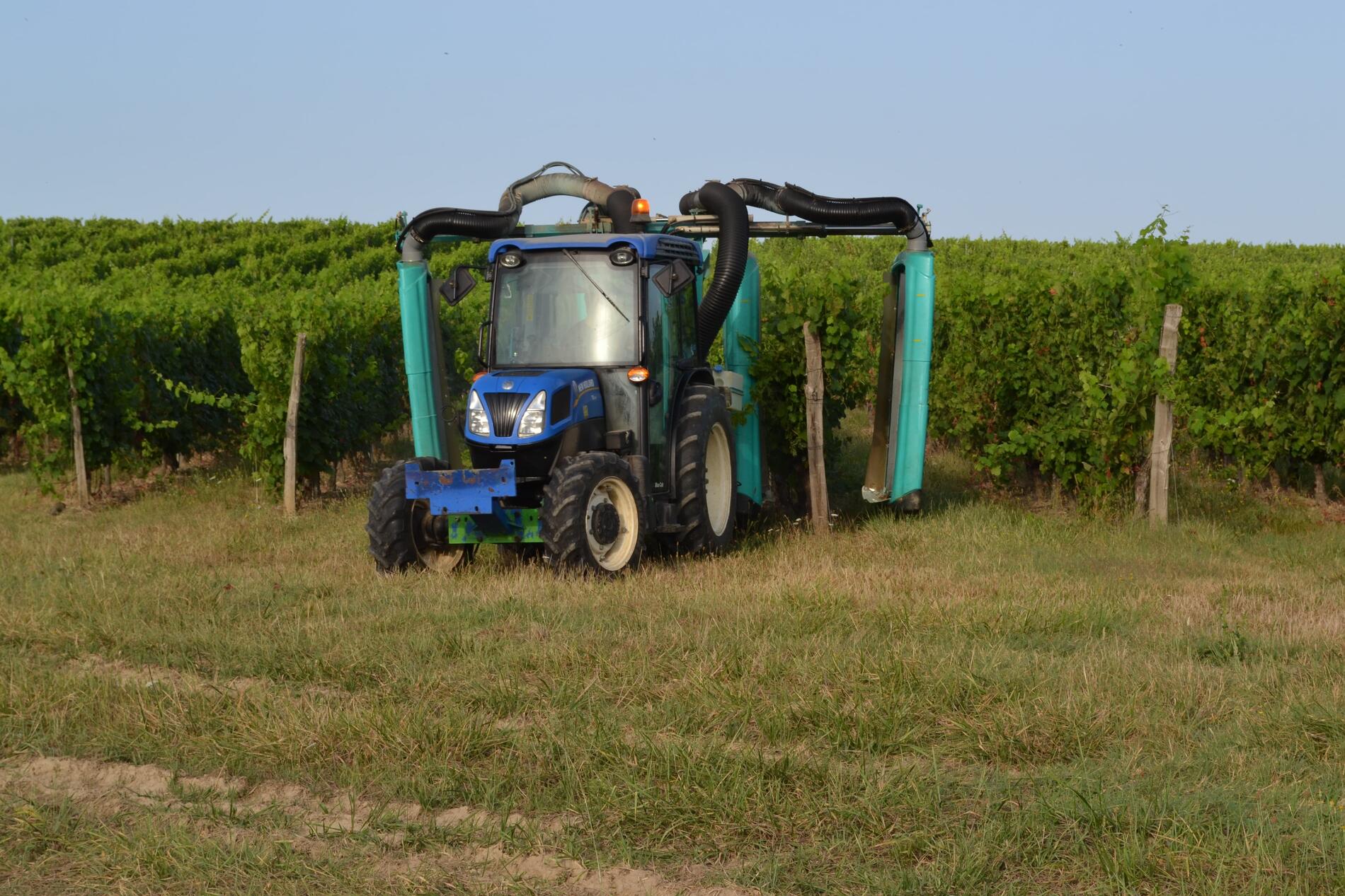 VIE - traitement de la vigne