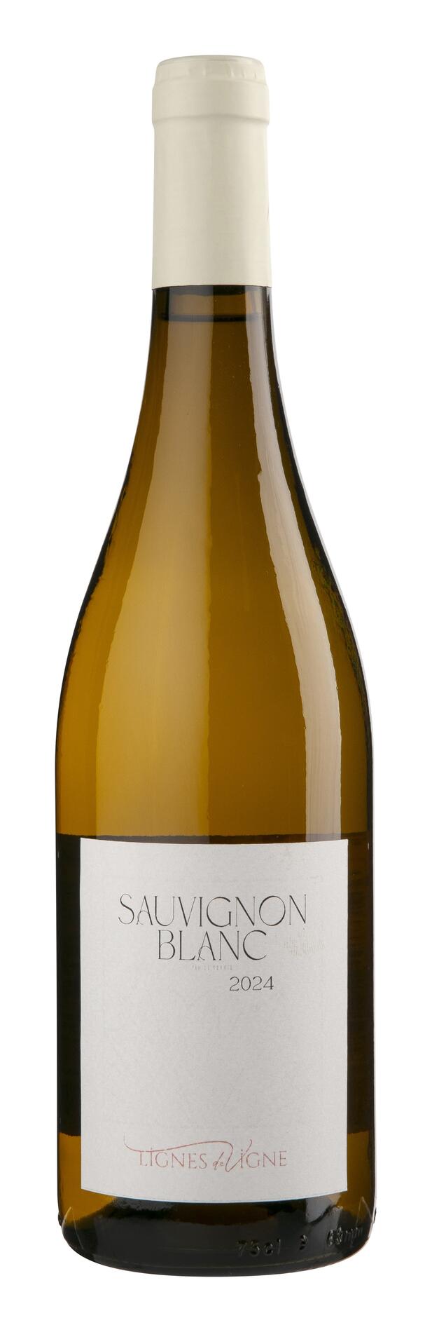 LES ÉCLAIREURS "LIGNES DE VIGNE"