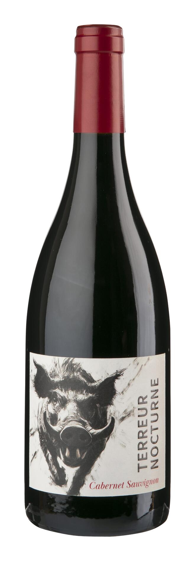 TERREUR NOCTURNE