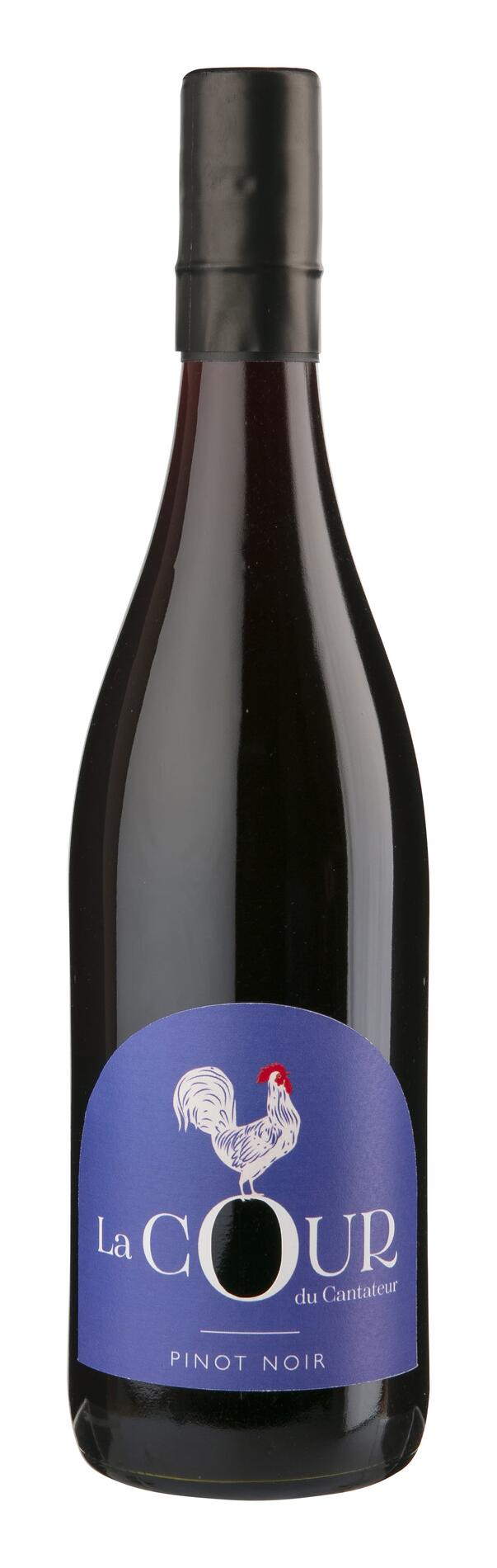 LA COUR DU CANTATEUR