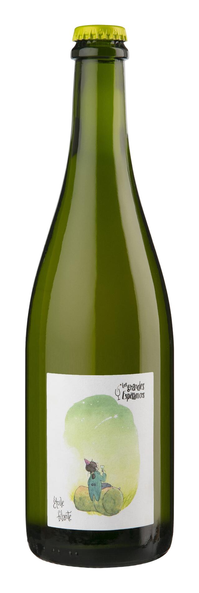 "ÉTOILE FILANTE" - LES GRANDES ESPÉRANCES